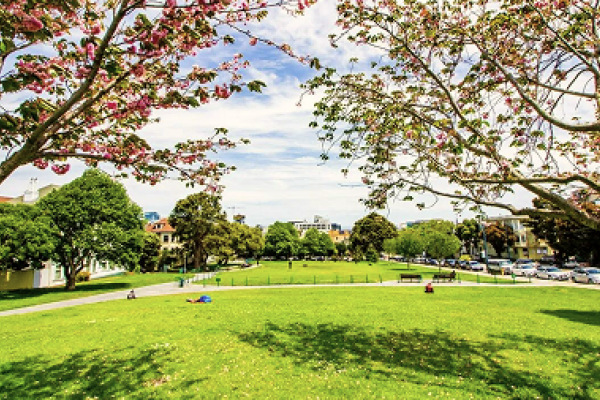 A sunny park with green grass, blooming trees, and people relaxing under a blue sky.