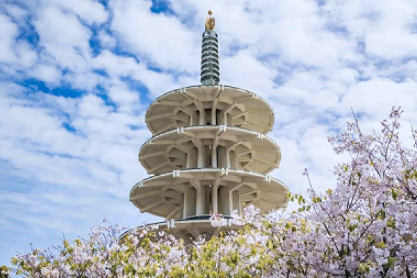 A five-tiered pagoda stands behind blooming cherry blossoms under a partly cloudy sky.