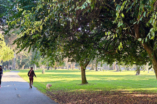 A woman walks a small dog and a person rides a bike on a tree-lined park path in sunlight.