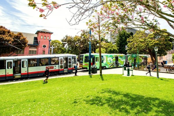 People walk near two colorful trams by a park with green grass and trees on a sunny day.