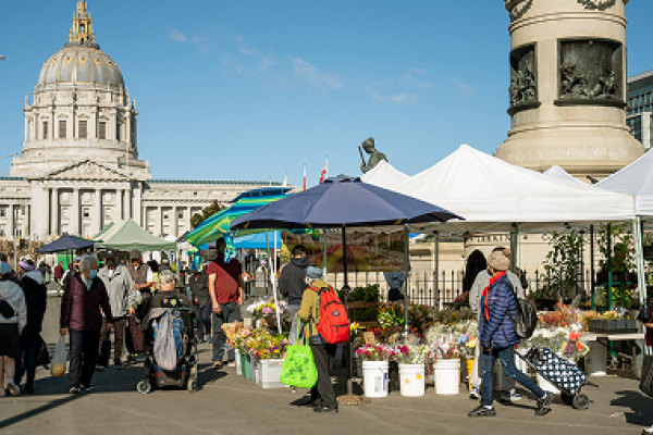 People shop at an outdoor flower market in front of a large domed government building on a sunny day.