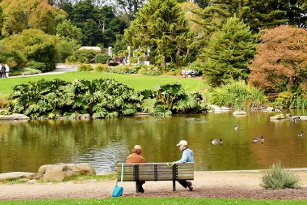 Two people sit on a bench by a pond in a park, with ducks swimming and others walking in the background.