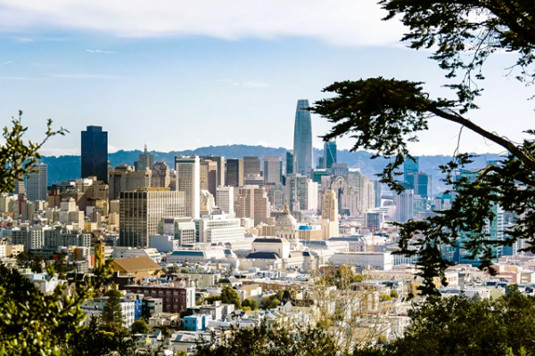 San Francisco city skyline with modern skyscrapers and trees in the foreground under a clear sky.