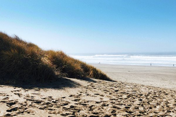 Sandy beach with grassy dunes in the foreground and ocean waves in the background under a clear sky.
