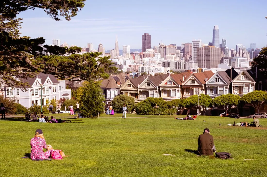 View of Alamo Square Park with greenery and a sign marking the neighborhood.