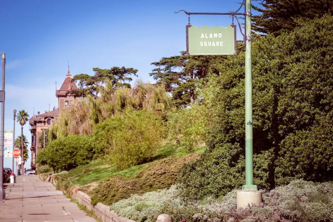 Panoramic view of greenery near Nopa San Francisco.