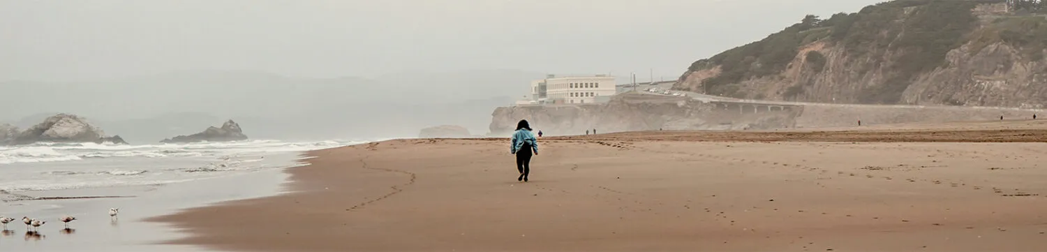 Contact Brick and Timber